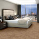RIPPLE-EFFECT-J0116-ECHO-00201-room-image